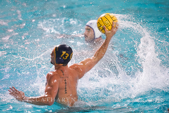 MWP: California Golden Bears vs UCLA Bruins
