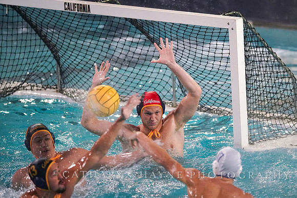 MWP: California Golden Bears vs UCLA Bruins