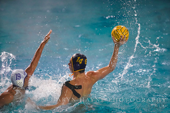 MWP: California Golden Bears vs UCLA Bruins