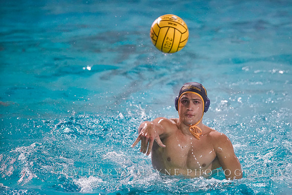 MWP: California Golden Bears vs UCLA Bruins