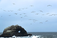 Sutro Baths, San Francisco, CA