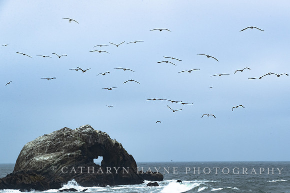 Sutro Baths, San Francisco, CA