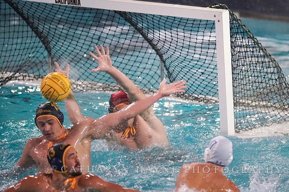 MWP: California Golden Bears vs UCLA Bruins