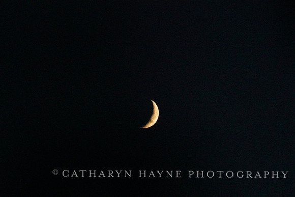 San Anselmo Moon
