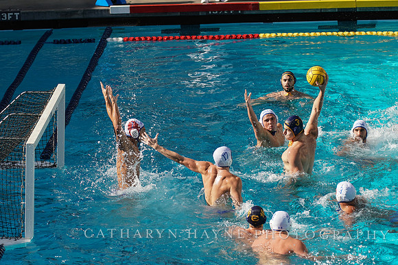 MWP: California Golden Bears vs UCLA Bruins