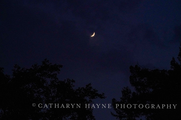San Anselmo Moon