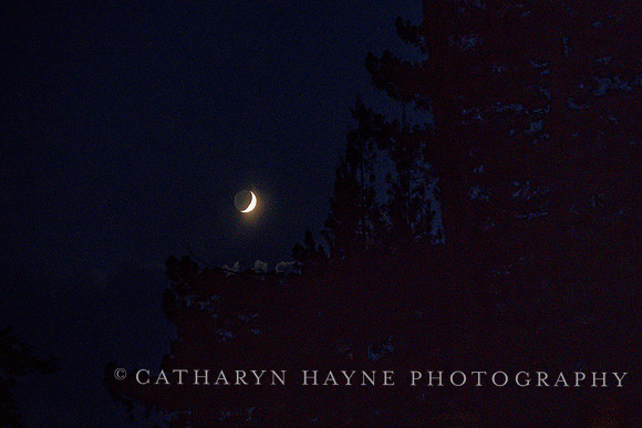 San Anselmo Moon
