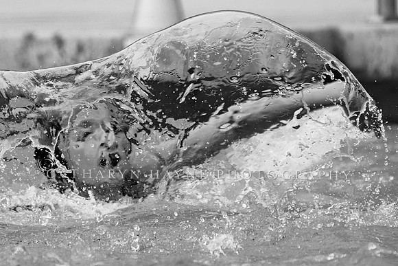 YWP: Cal Cup Qualifiers: U14 Bulldog vs Lamorinda