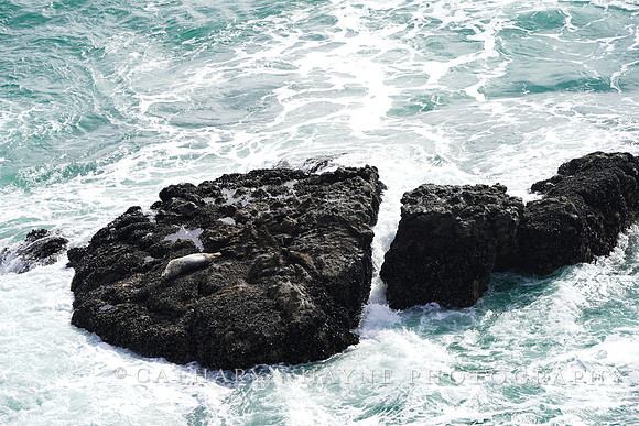 Rodeo Beach