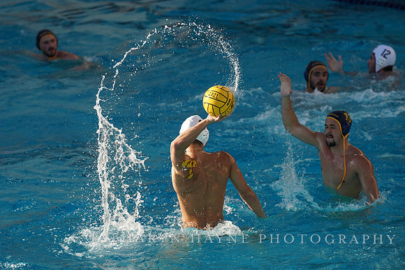 MWP: California Golden Bears vs USC Trojans
