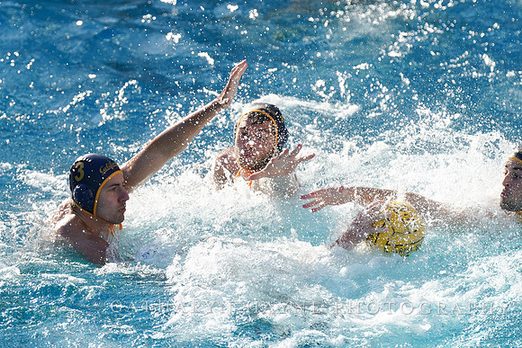 MWP: California Golden Bears vs USC Trojans