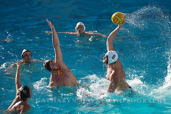 MWP: California Golden Bears vs USC Trojans