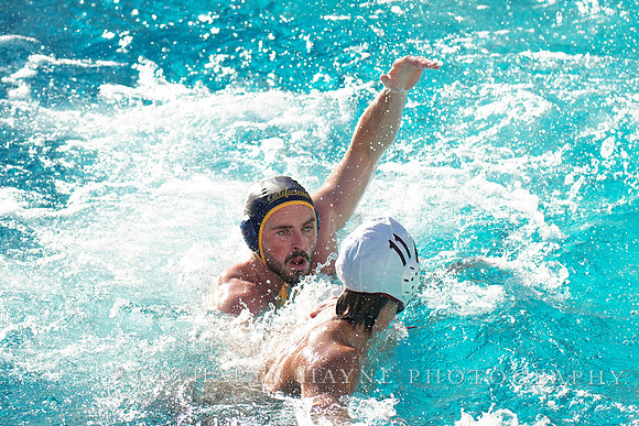 MWP: California Golden Bears vs USC Trojans