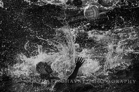 MWP: California Golden Bears vs USC Trojans