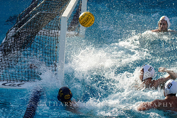 MWP: California Golden Bears vs USC Trojans