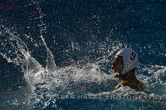 MWP: California Golden Bears vs USC Trojans