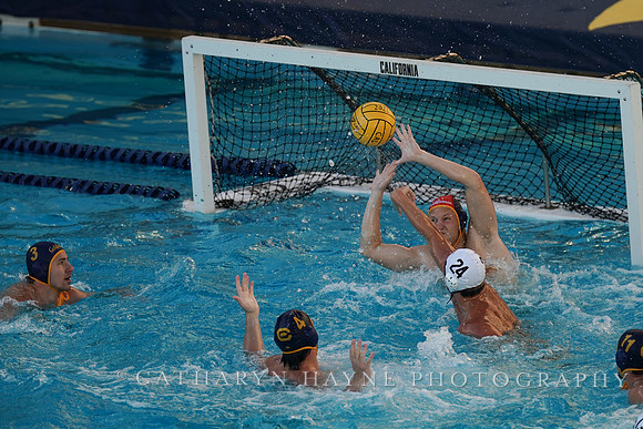 MWP: California Golden Bears vs USC Trojans
