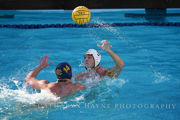 MWP: California Golden Bears vs USC Trojans