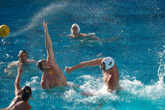 MWP: California Golden Bears vs USC Trojans