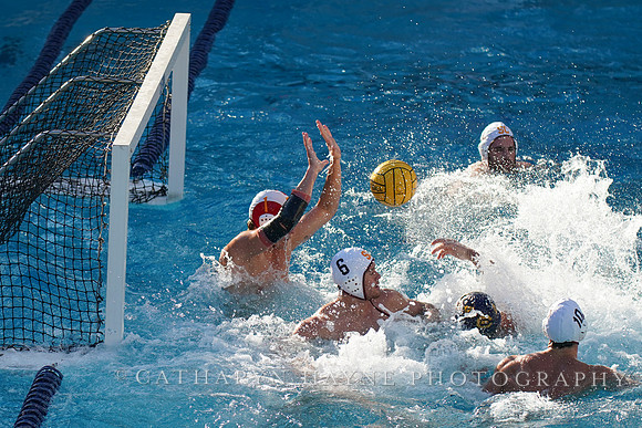 MWP: California Golden Bears vs USC Trojans
