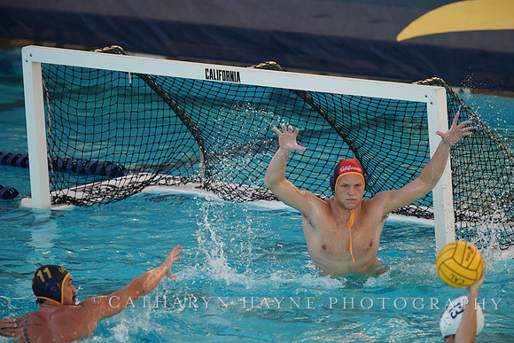MWP: California Golden Bears vs USC Trojans