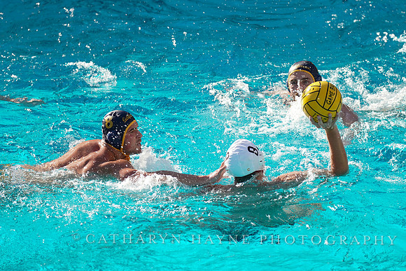MWP: California Golden Bears vs USC Trojans