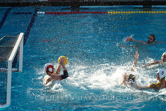 MWP: California Golden Bears vs USC Trojans