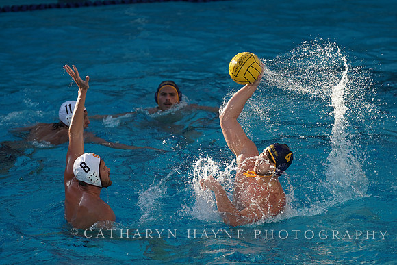 MWP: California Golden Bears vs USC Trojans