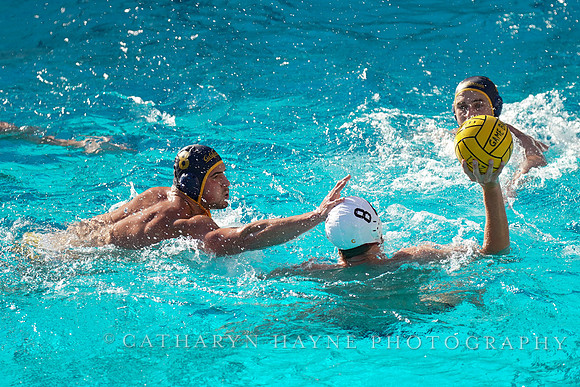 MWP: California Golden Bears vs USC Trojans