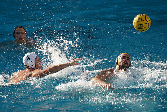 MWP: California Golden Bears vs USC Trojans