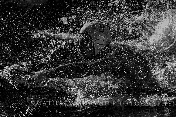 MWP: California Golden Bears vs USC Trojans