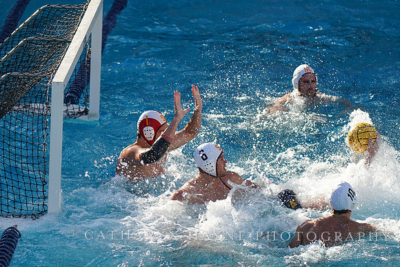 MWP: California Golden Bears vs USC Trojans