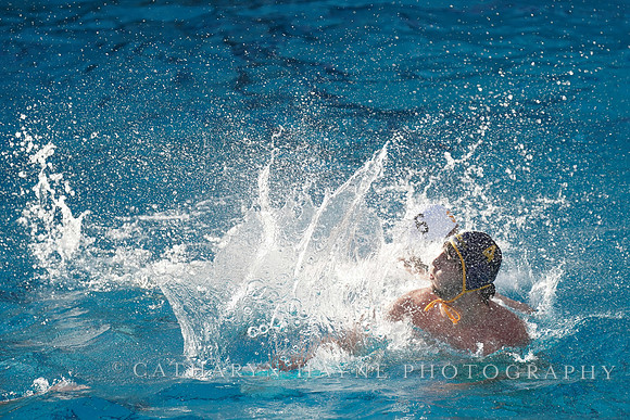 MWP: California Golden Bears vs USC Trojans