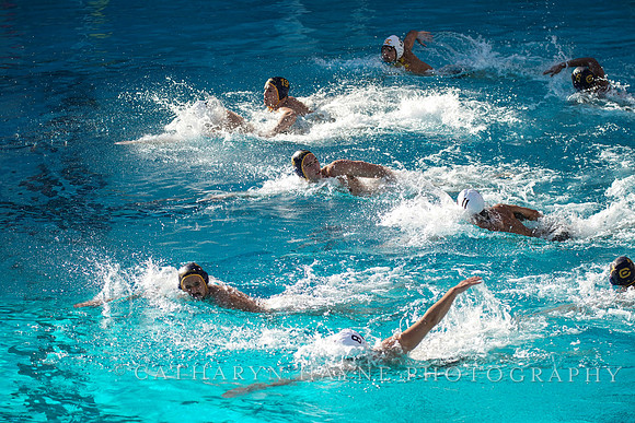 MWP: California Golden Bears vs USC Trojans