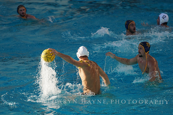 MWP: California Golden Bears vs USC Trojans