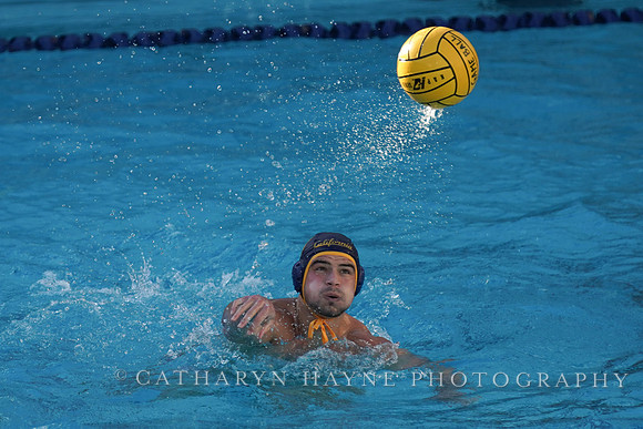MWP: California Golden Bears vs USC Trojans