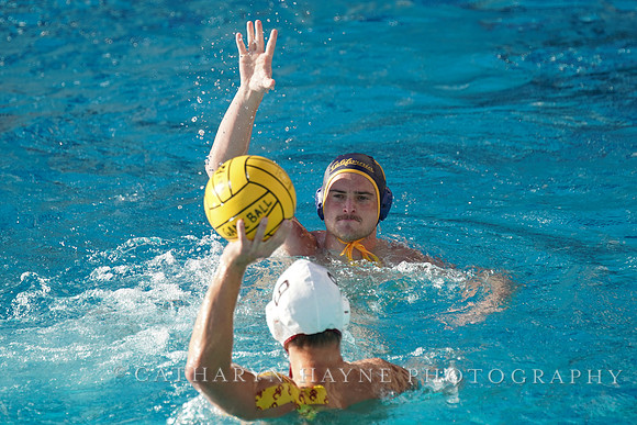 MWP: California Golden Bears vs USC Trojans