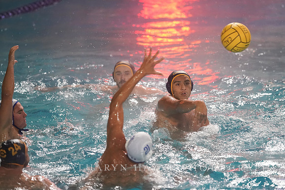 MWP: California Golden Bears vs UCLA Bruins