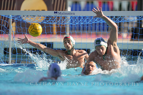 MWP: Salem University Tigers vs UCLA Bruins