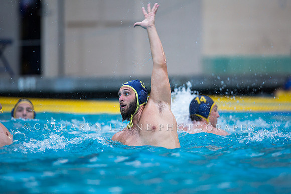 Cal Water Polo Camp