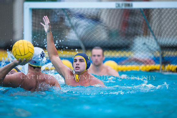 Cal Water Polo Camp