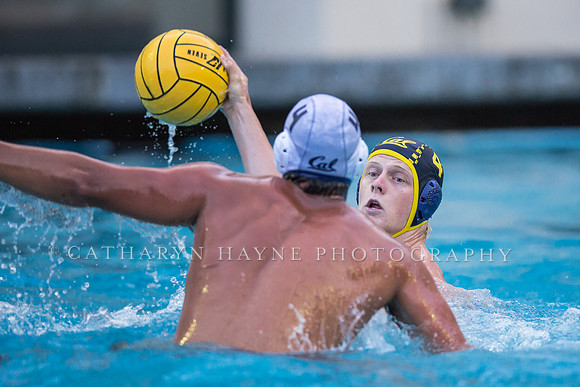 Cal Water Polo Camp