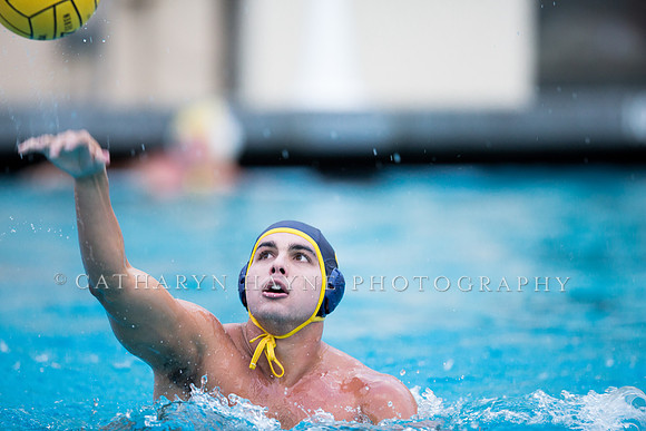 Cal Water Polo Camp