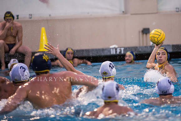 Cal Water Polo Camp