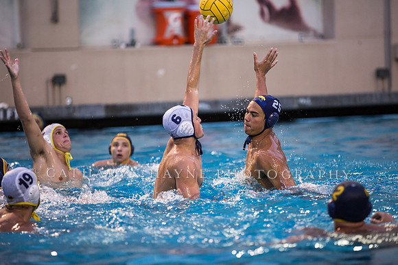 Cal Water Polo Camp