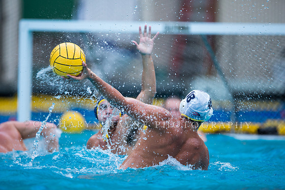 Cal Water Polo Camp