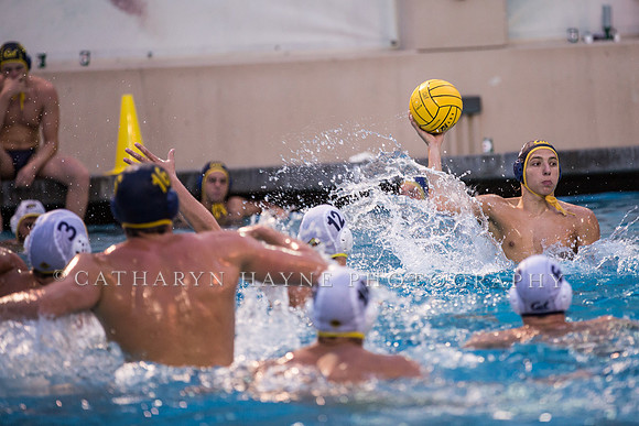 Cal Water Polo Camp