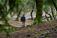 Lake Lagunitas