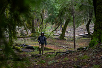 Lake Lagunitas