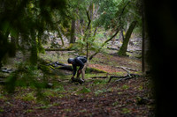 Lake Lagunitas
